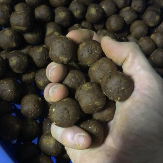 Boilies Explorer