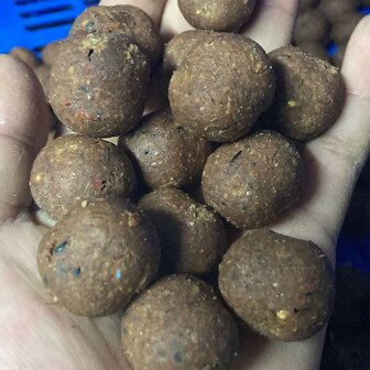 Boilies Explorer