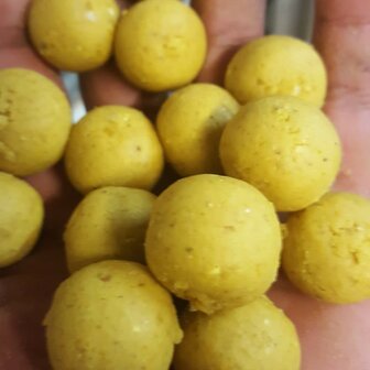 Boilies Explorer